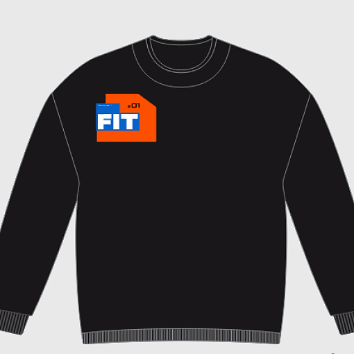 Свитшот утепленный FIT сто